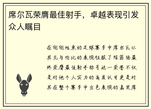 席尔瓦荣膺最佳射手，卓越表现引发众人瞩目