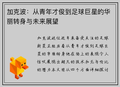加克波：从青年才俊到足球巨星的华丽转身与未来展望