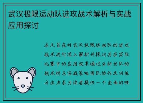 武汉极限运动队进攻战术解析与实战应用探讨